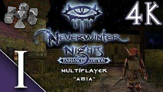 Neverwinter Nights: Enhanced Edition - Multiplayer "Amia" Server - 4K 60fps