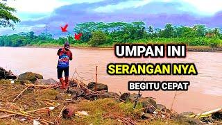 UMPAN YANG SATU INIH‼️SERANGAN NYA BEGITU CEPAT || racikan umpan, mancing ikan sungai