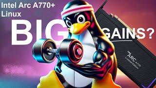 Intel Arc A770 Linux Gaming in the B580 era: Can It Handle These Demanding Games?