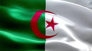 Algeria Flag Animation 4K | Algeria Flag Waving HD | Free Flag Animation | Siddam Bharat