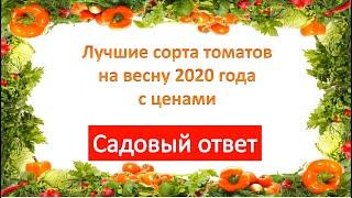 Лучшие семена томатов на весну 2020 года с ценами