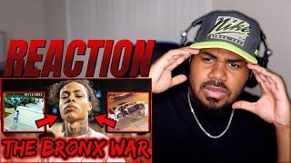 The War in The Bronx: OGz vs. YGz vs. SevSide REACTION