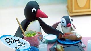 Pingu has Company!  | Pingu - Official Channel | Cartoons For Kids