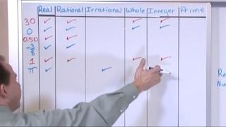 Lesson 1 - Real Numbers (Pre-Algebra Tutor)