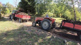 Kendi Yüküm Az Olmuş Gibi Yokuşta Dedemin Traktörünü de Çektim! | Massey Ferguson [1440p60]