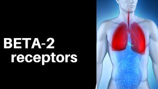 Beta-2 Receptors- Nursing Students, NP Students and Medical Students