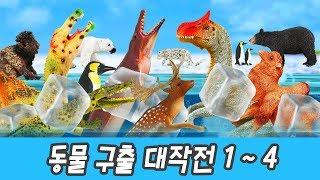 Let animals go home! 1~4ㅣanimals names for children in english, happy 40 minㅣCoCosToy