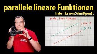 parallele lineare Funktionen haben keinen Schnittpunkt | Lehrerschmidt