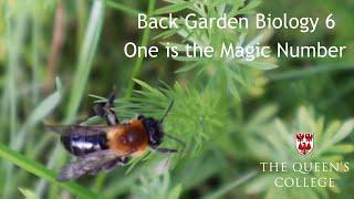 One is the Magic Number | Back Garden Biology 6 with Dr Lindsay Turnbull
