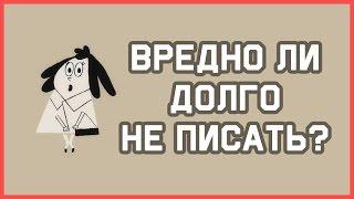 Edu: Вредно ли долго не писать?