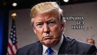 НИКАКОГО НАТО?Есть ли у вас "мирный план", мистер Трамп?