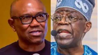 Peter hit on Tinubu you're no longer Governor of Lagos state you're not in touch Nigerian realities