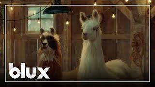 Amazon Llama Commercial | Llamacita/Mamacita Longer version Ad | Christmas 2023 | #blux