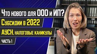 Новое для бизнеса в 2022 году. Субсидии для ООО и ИП