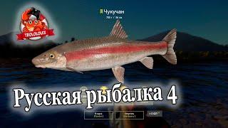 Русская рыбалка 4 Чукучан