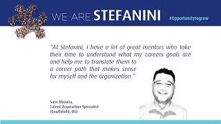 We Are Stefanini