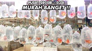 PUSAT GROSIR - ECER MURAH BANGET..‼️PASAR IKAN HIAS PARUNG‼️