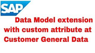 SAP MDG Data model extension with custom attribute at Customer General Data