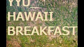 YYU - HAWAII BREAKFAST (album)