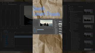 Effortless Color Grading with a Single Click #efficientediting #premierepropresets