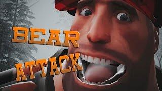 BEAR ATTACK ANIMATION