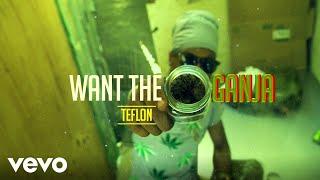 Teflon (Young King) - WANT the GANJA | Official Music Video