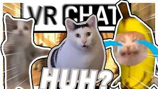 Happy cat memes - VRCHAT Funny Moments