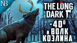 The Long Dark ● ОБЪЯТИЯ ЗИМЫ В -40 ГРАДУСОВ И ВОЛК КОЗЛИНА [2K 60ᶠᵖˢ]