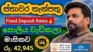  ස්තාවර තැන්පතු පොලිය ඉහළට |Fixed deposit interest rates |money market fd rate in sri lanka 2024