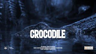 "CROCODILE" ~ Dancehall Riddim Instrumental 2021 | Slickwidit Prod