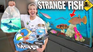 Buying Every STRANGE SEA CREATURE From The FISH STORE For My SALTWATER AQUARIUM!!