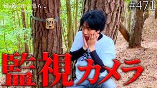 【驚き】急斜面45°の山に監視カメラを設置!珍しい○○を発見! #471