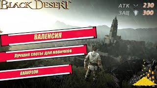 Лучшие места  фарма для начинающих - БДО 2024 - BLACK DESERT Online -  ВАЛЕНСИЯ - Анакреон