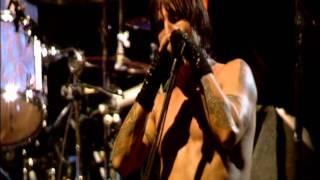 Red Hot Chili Peppers - Give It Away - Live at Slane Castle [HD]