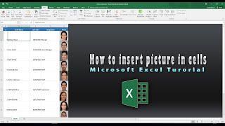 Step By Step Guide to Insert Pictures in Excel Cells