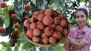 Have you ever seen this fruit in your country - It call kaki apple Khmer