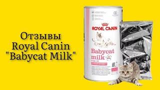 Стоит ли покупать заменитель молока для котят Royal Canin "Babycat Milk" с рождения 300 г отзывы