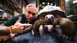 BEST PET TORTOISE!! GIANT ALDABRA TORTOISE?? | BRIAN BARCZYK