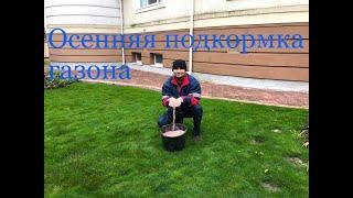 Осенняя подкормка газона