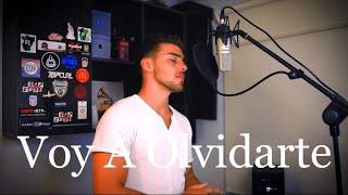 Voy A Olvidarte - Reik (Lucas Barros Cover)