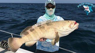 Abu Dhabi Fishing in the boat ! Huge Grupper!