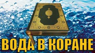 #1 Что означает вода в Коране. (Метафоры в Коране)