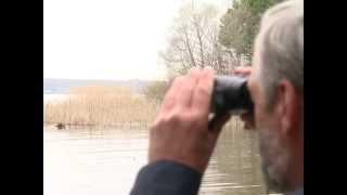 Рыбак Рыбаку 400 "Нерестовый запрет".