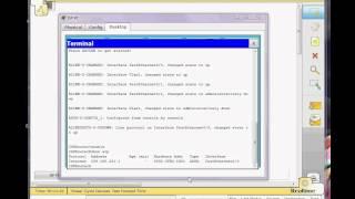 5 3 3 3 Using the Cisco IOS Show commands