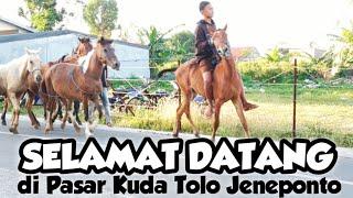 Selamat Datang - di Pasar Kuda Tolo Jeneponto | Pasar Kuda | Kuda Part 51