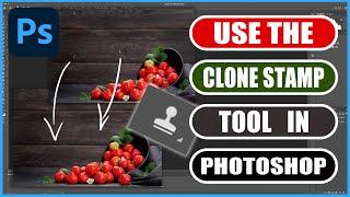 How to Use the CLONE STAMP TOOL in Photoshop | Photoshop CC Tutorials