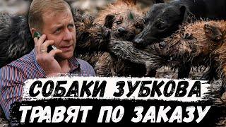 Олег Зубков и его собаки травят потерпевших. Интервью с Виталием Гнединым