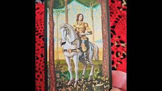 One Minute Meditation: The Knight of Cups and the Cup of Love