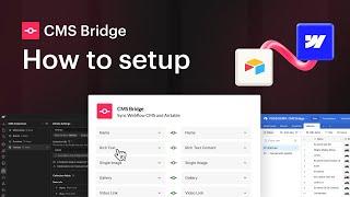 How to set up CMS Bridge from scratch?