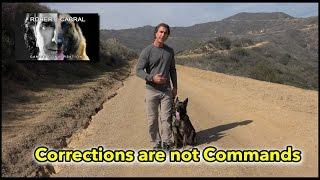 Corrections are Not Commands - Understanding Dogs Through Proper Dog Training
